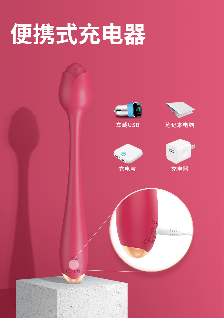 震動(dòng)棒情趣玩具充電器及充電方式介紹.png