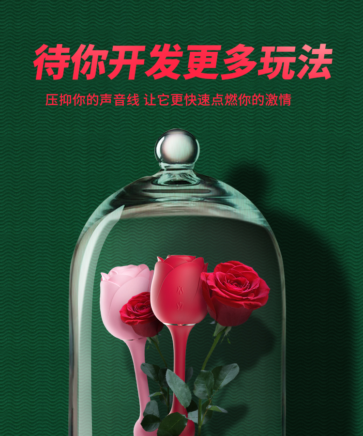 可以開(kāi)發(fā)多種玩法的情趣用品